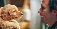 15+ Películas protagonizadas por perros que todos los amantes de los ...