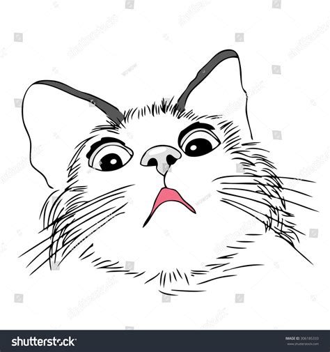 Scared Worried Cat Hand Draw Illustration 306185333 Shutterstock