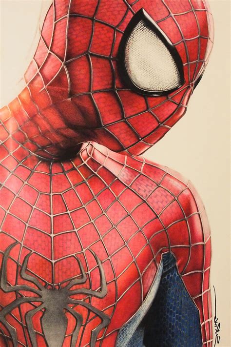 Spiderman Drawing Color At Explore Collection Of