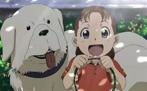 Top 10 Best Anime With Dogs Top Dog Tips