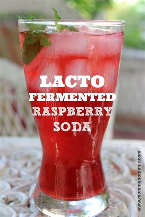 How To Make Lacto Fermented Raspberry Soda
