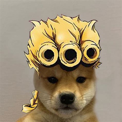 Giorno Dogwifhat Dogwifhat Know Your Meme