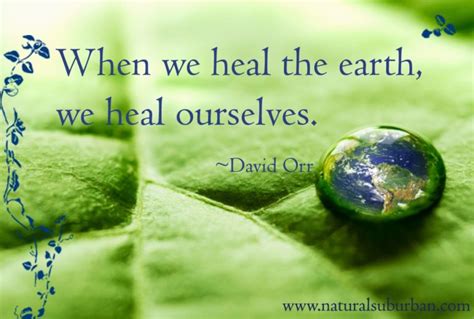 When We Heal The Earth We Heal Ourselves David Orr