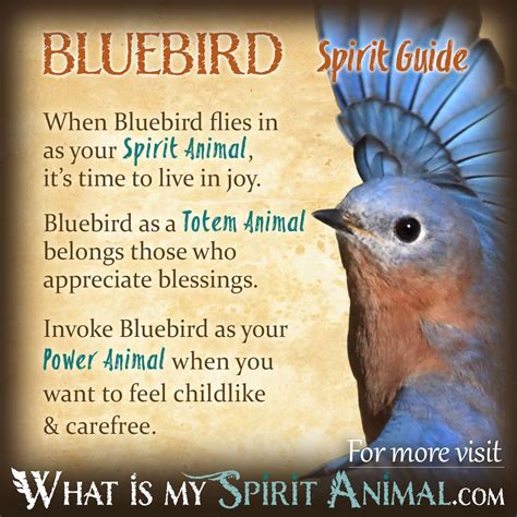 Most birds like to hold onto their food while they eat, with roudybush pellets coming in an assortment of sizes it caters to almost all bird sizes. Bluebird Symbolism & Meaning | Bluebird Spirit, Totem ...