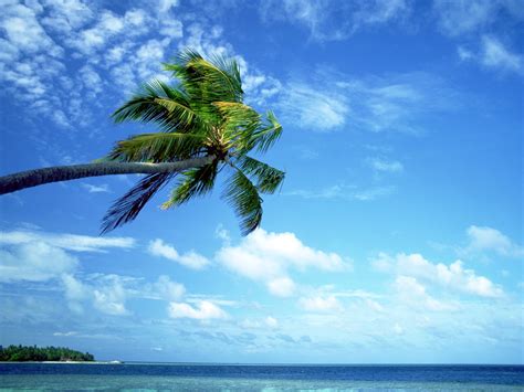 Wallpaper Sunlight Sea Bay Nature Sky Clouds Beach Blue Coast