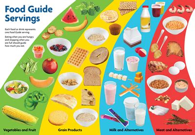 Dairy foods' exclusive list of north america's largest processors of dairy foods. Adventures in Room 111: Food Groups!