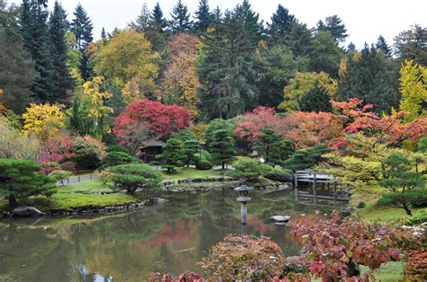 The Power Of Stone In The Seattle Japanese Garden — Seattle Japanese Garden