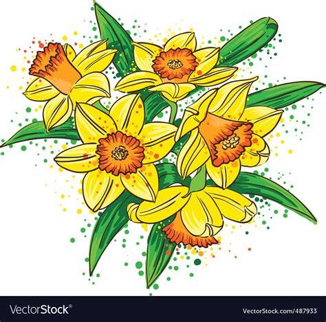 Download Narcissus vector image on