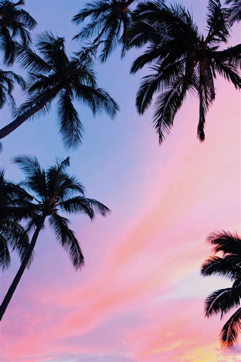 Beach Photography Sunset Palm Trees Digital Download Etsy Sunset