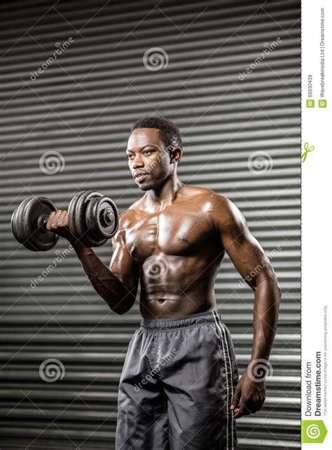 Shirtless Man Lifting Heavy Dumbbell Stock Image Image Of Exercising