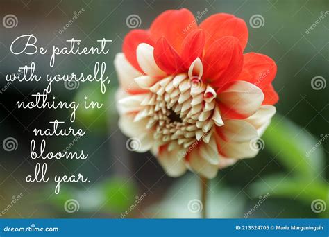 Inspirational Motivational Quote Be Patient With Yourself Nothing In