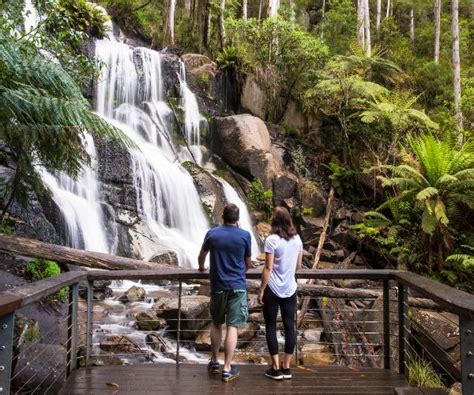 13 Best Waterfalls In Gippsland Enjoy Victoria