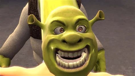 Donkey Shrek Face