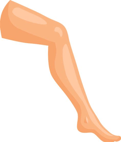 Legs Clipart Clip Art Legs Clip Art Transparent Free For Download On