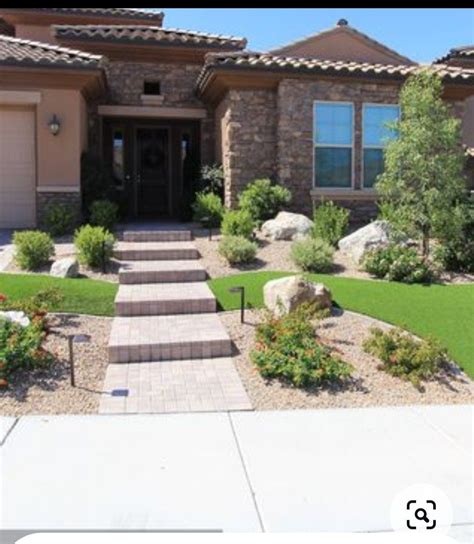 Drought Tolerant Grass And Groundcovers California Lawn Alternatives