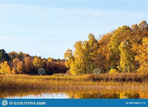 Idyllic Lake Landscape With Fall Colors In The Woods Stock Image