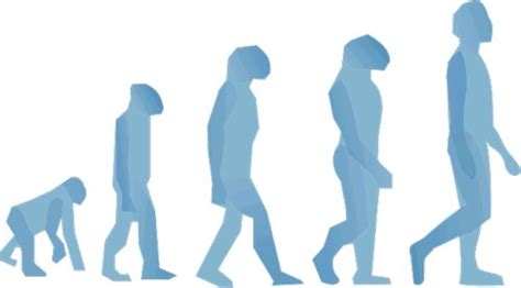 What Is Biological Evolution