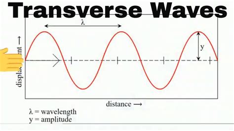 Anatomy Of A Transverse Wave Youtube