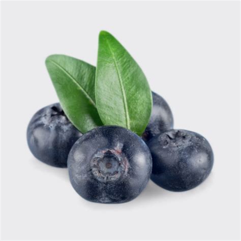 Blueberry Yumfrut Fresh And Delicious Fruits Delivered To Your Doorstep