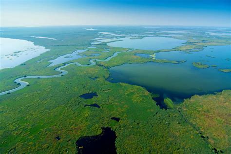 Take A Look At The Most Amazing Wetlands In The World