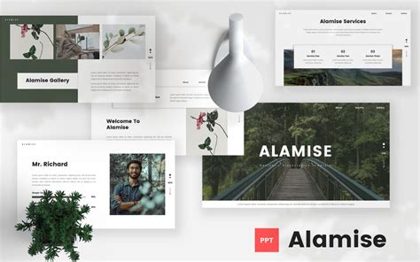 Alamise Aesthetic Powerpoint Template Templatemonster