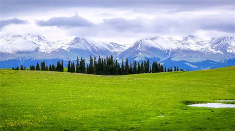 新疆喀拉峻草原风景桌面壁纸 Tt98图片网