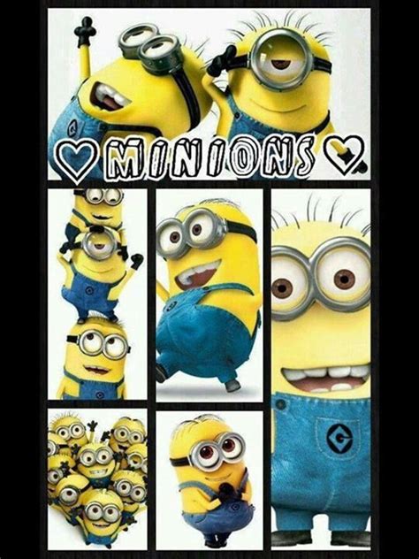 I Love Minions Minions What Minions Fans Cute Minions Minions