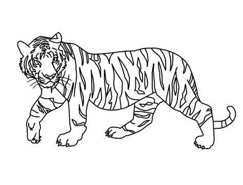 Bebé Tigre Sentado para colorear imprimir e dibujar Dibujos Colorear Com