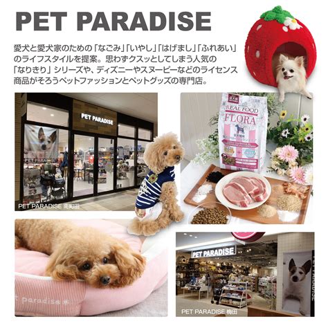 Shop Concept - PET PARADISE - クリエイティブヨーコ