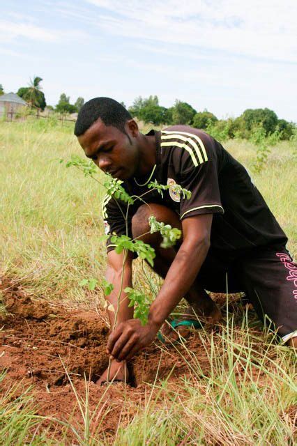 Madagascar Eden Reforestation Projects Planting Trees Giving The