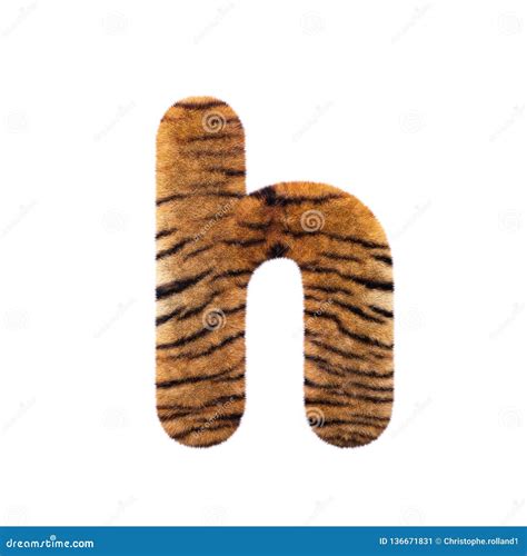 Tiger Letter H Lower Case D Feline Fur Font Suitable For Safari