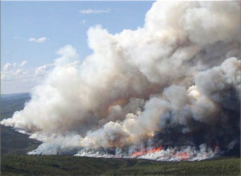 Frequent Extreme Wildfires Threaten To Turn Boreal Forests From Carbon