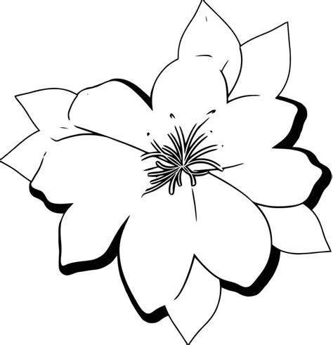 Free printable flowers pdf coloring pages 10 some flowers produce diaspores without fertilization parthenocarpy. Large Flower Coloring Page - Coloring Sheets