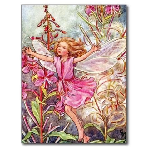 The Rose Bay Willow Herb Fairy Flower Fairies Cicely Mary Barker