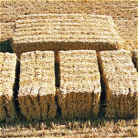 Barley Straw For Sale In Uk 39 Used Barley Straws