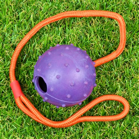 Ball With Rope Dog Toy Fetch Rubber Dog Toy And On A Rope By Good Bo