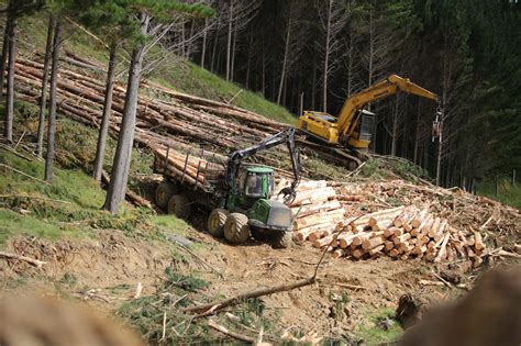 Forest Harvesting Marketing And Sales Nz Forestry