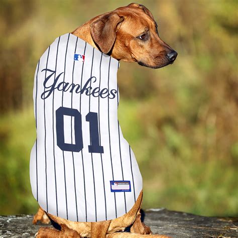New York Yankees Dog Jersey Pinstripe