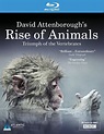 Rise of Animals: Triumph of the Vertebrates (TV) (2013) - FilmAffinity