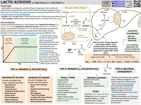 Lactic Acidosis Overview And Pathophysiology Lactic Grepmed