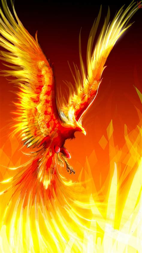 Phoenix Bird Hd Wallpapers Top Free Phoenix Bird Hd Backgrounds
