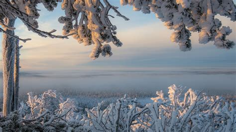 Snowy Lapland Ylläs In Winter Finland Wallpaper Backiee