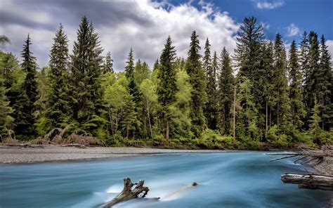 Free Download Hd Wallpaper River Hoh In Olympia National Forest
