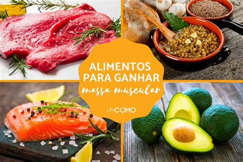 Lista De Alimentos Para Ganhar Massa Muscular Pdf