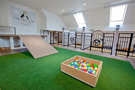 Vip Pets The First Five Star Dog Hotel And Kindergarten Prague Stay
