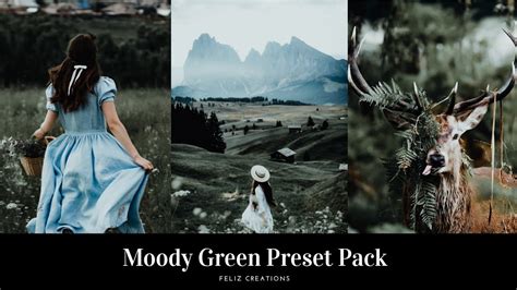 With the click of a button, you can have a stylized image that evokes an emotional response. Moody Green Preset Pack || Free Dark Green Preset😱 - YouTube