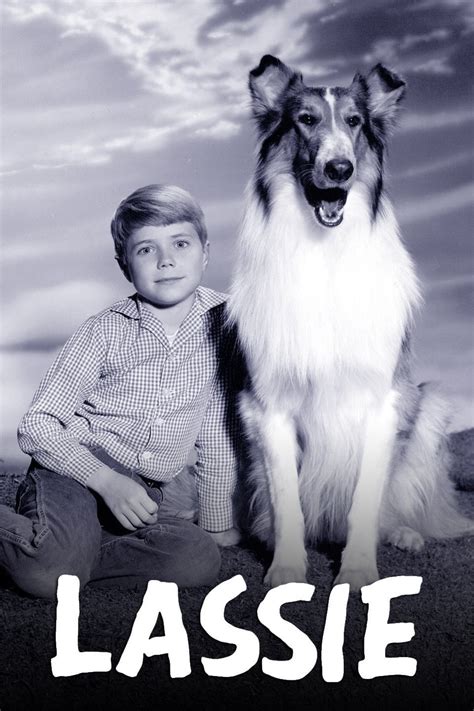 Lassie Season 4 Rotten Tomatoes