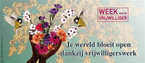 Week Van De Vrijwilliger Campagne En Getuigenissen Vlaams Steunpunt