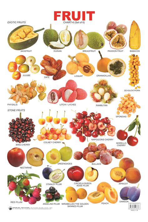 Фрукты и ягоды по английски в картинках с произношением