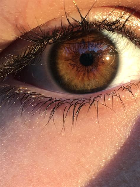 Brown Eyes Brown Eyes Aesthetic Dark Hazel Eyes Dark Circles Under Eyes